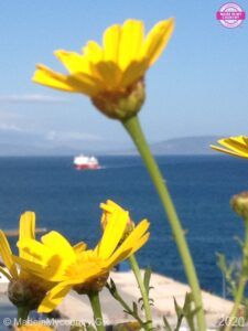 MadeinMycountry-MadeinMycountryGR-TourAegean-Aegean-sea-Greek-islands-Greece-Hellas-Cyprus